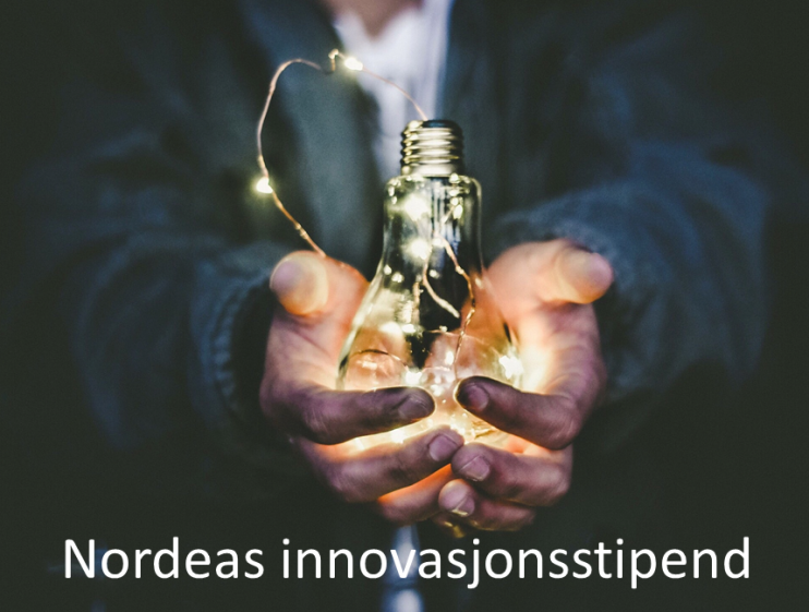 2020 Stipendillustrasjon 13.3.png